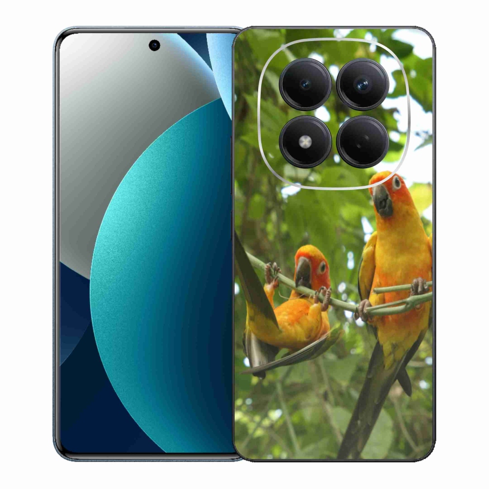 Gél borítás mmCase a Xiaomi Redmi Note 15 Pro számára - papagájok aratingy