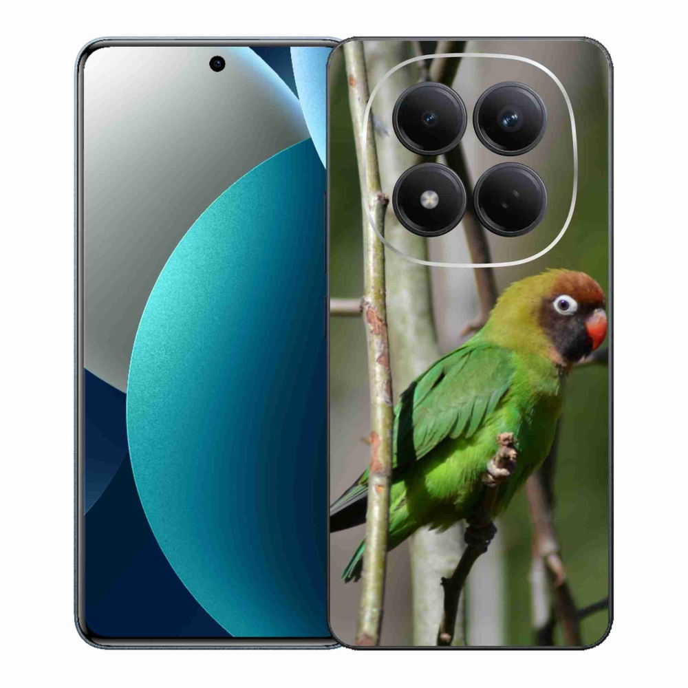 Gél borítás mmCase a Xiaomi Redmi Note 15 Pro számára - papagáj agapornis