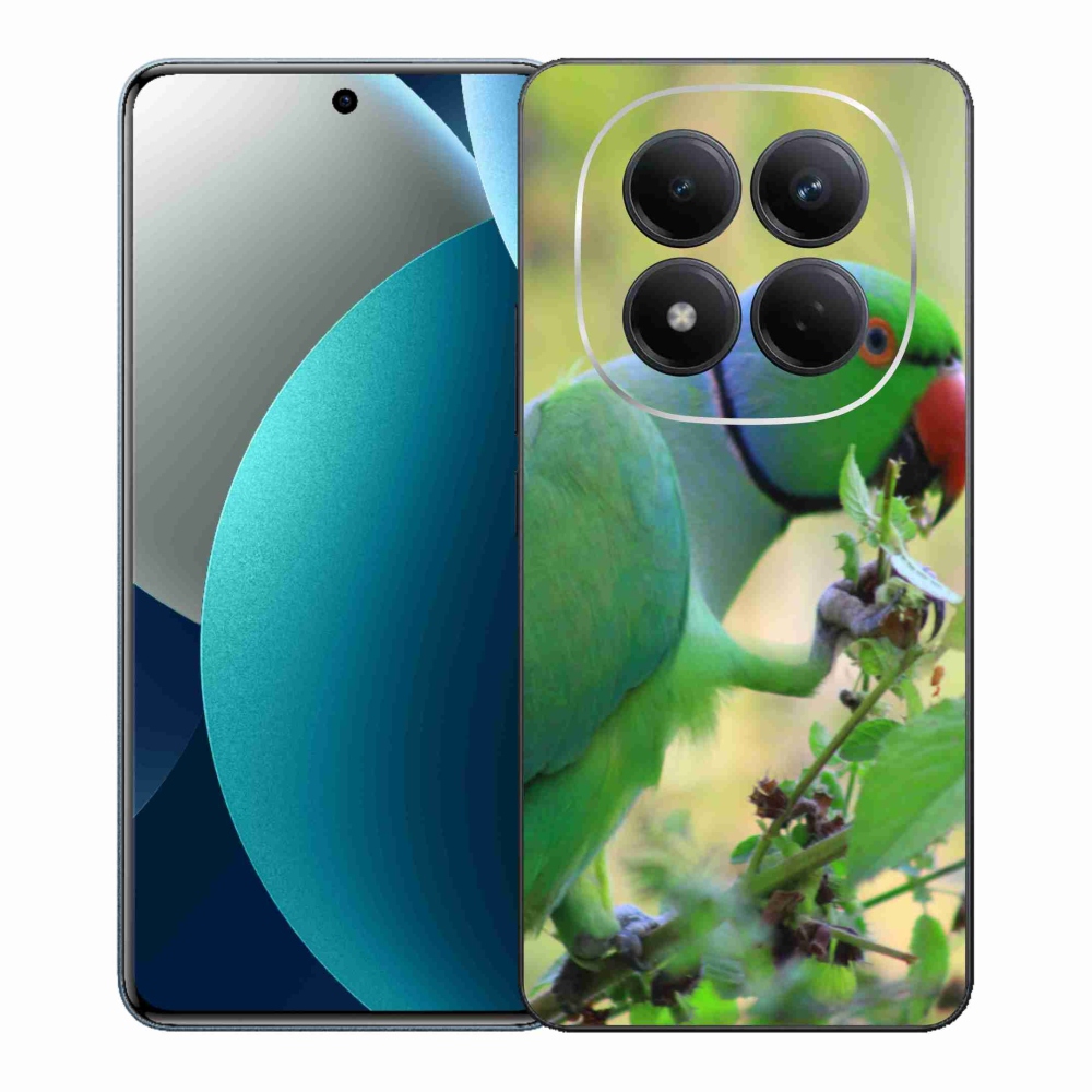 Gél borítás mmCase a Xiaomi Redmi Note 15 Pro készülékhez - papagáj alexandr