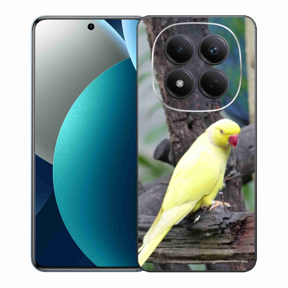 Gél borítás mmCase a Xiaomi Redmi Note 15 Pro készülékhez - papagáj alexander sárga