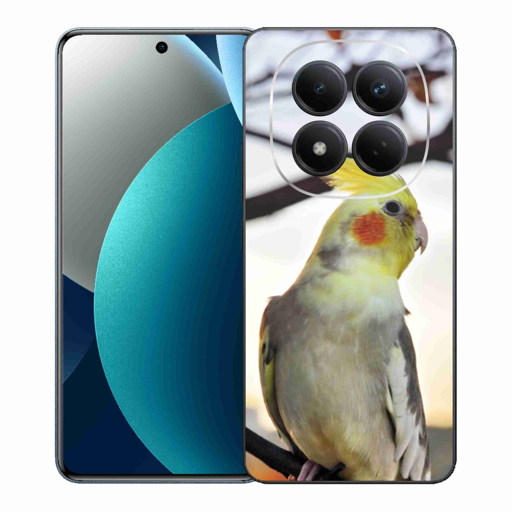 Gél borítás mmCase a Xiaomi Redmi Note 15 Pro készülékhez - papagáj korela
