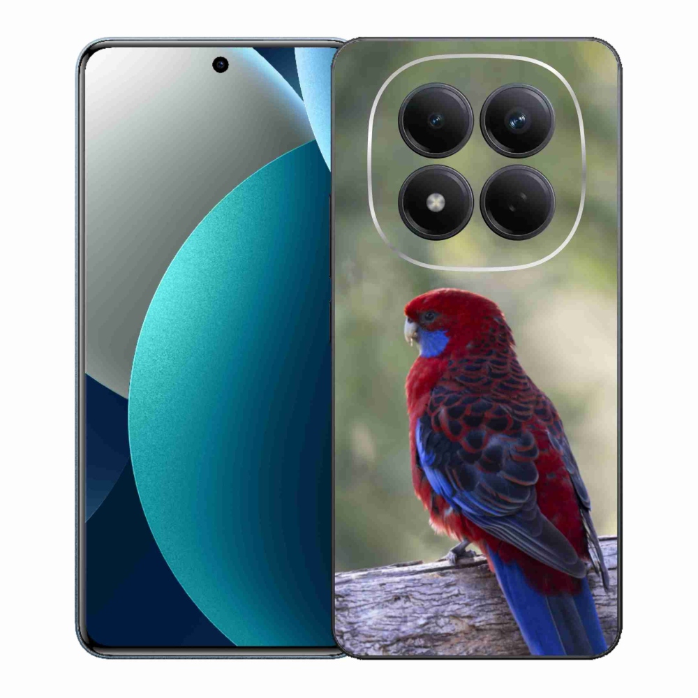 Gél borítás mmCase a Xiaomi Redmi Note 15 Pro készülékhez - papagáj rózsa