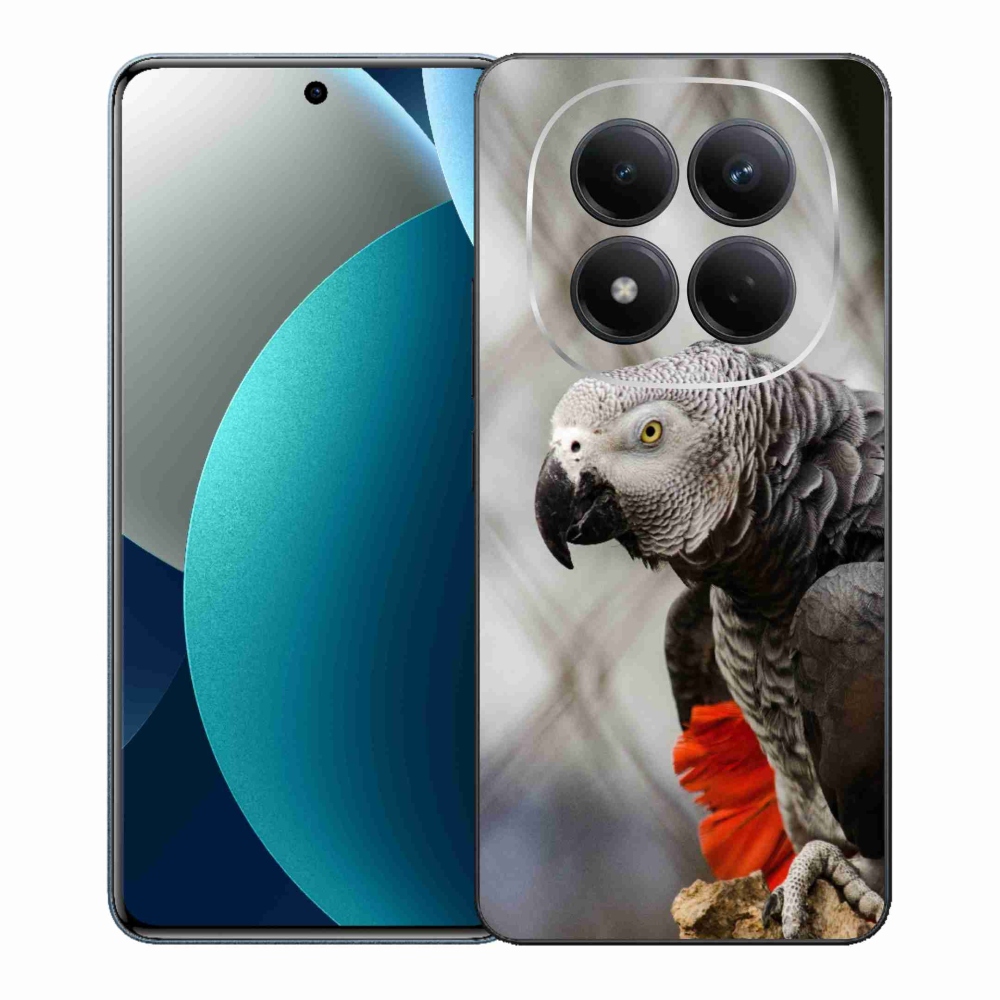 Gél borítás mmCase a Xiaomi Redmi Note 15 Pro készülékhez - papagáj jacko 3