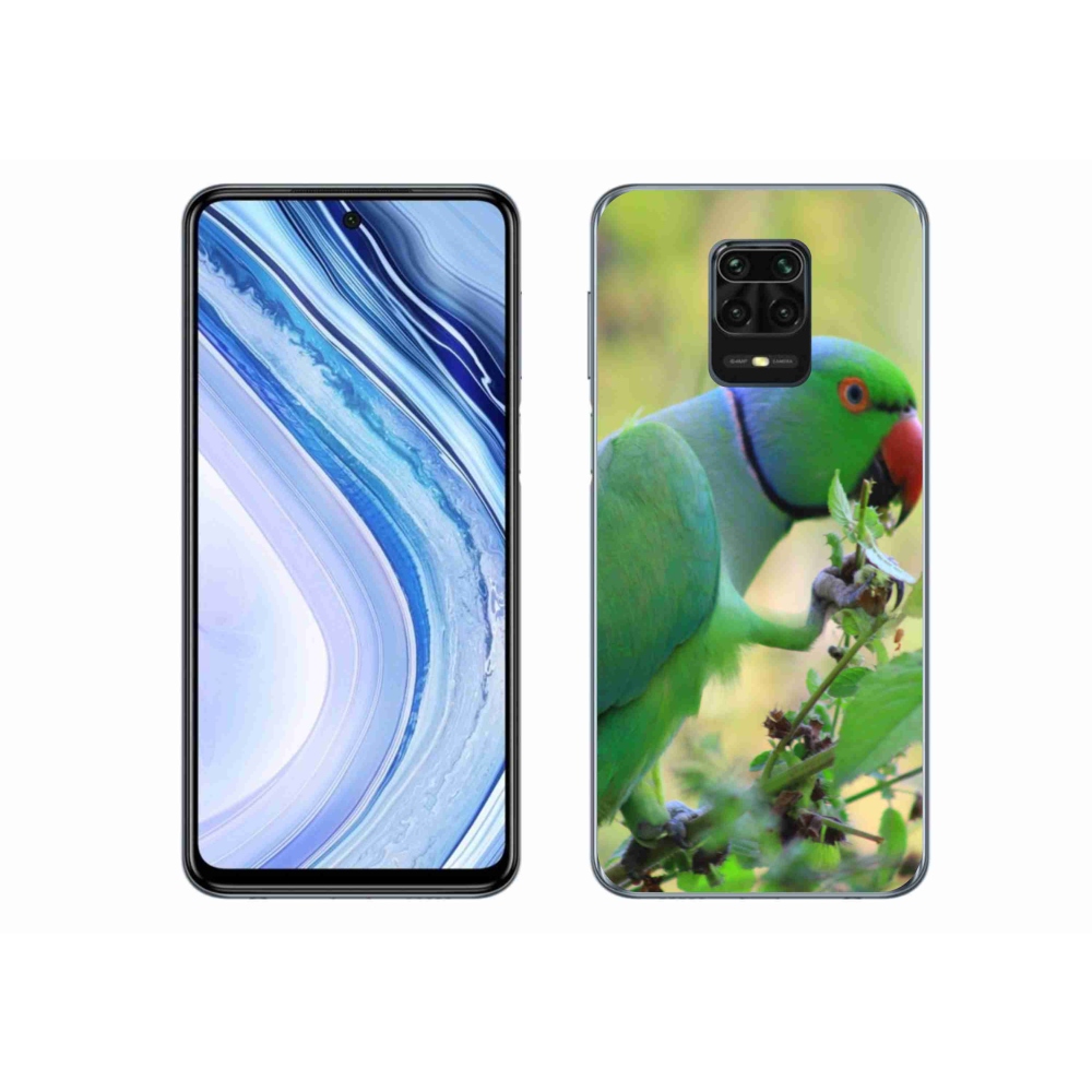 Gél borítás mmCase a Xiaomi Redmi Note 9 Pro készülékhez - papagáj alexandr