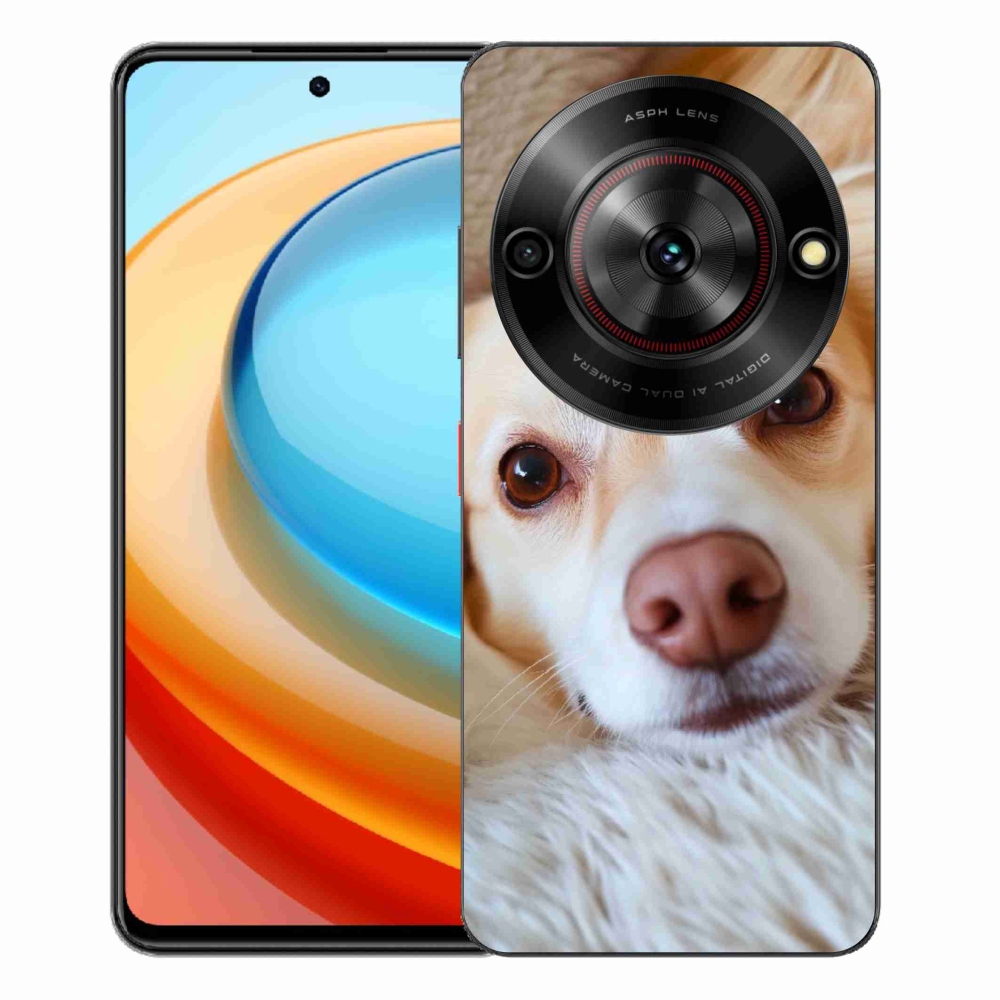 ZTE Blade A75 zselés tok mmCase - Aranyos csivava