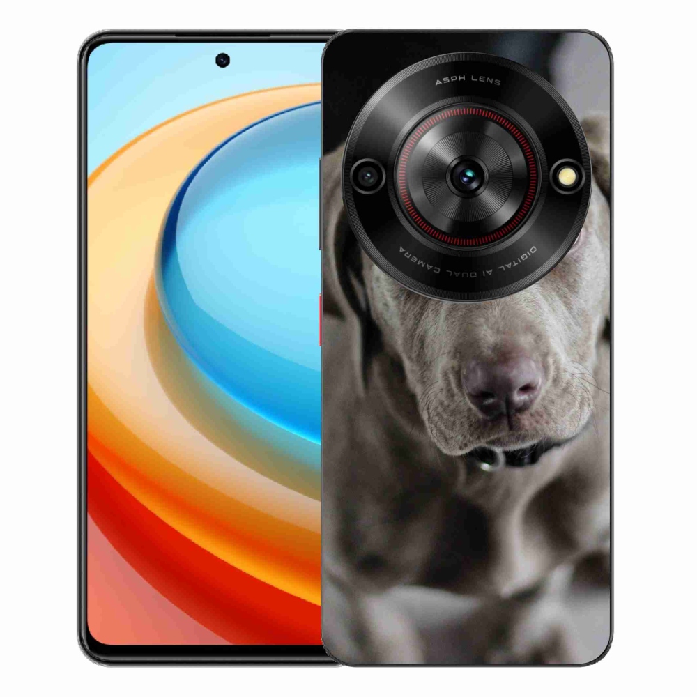 ZTE Blade A75 zselés tok mmCase - a Weimaranerhez