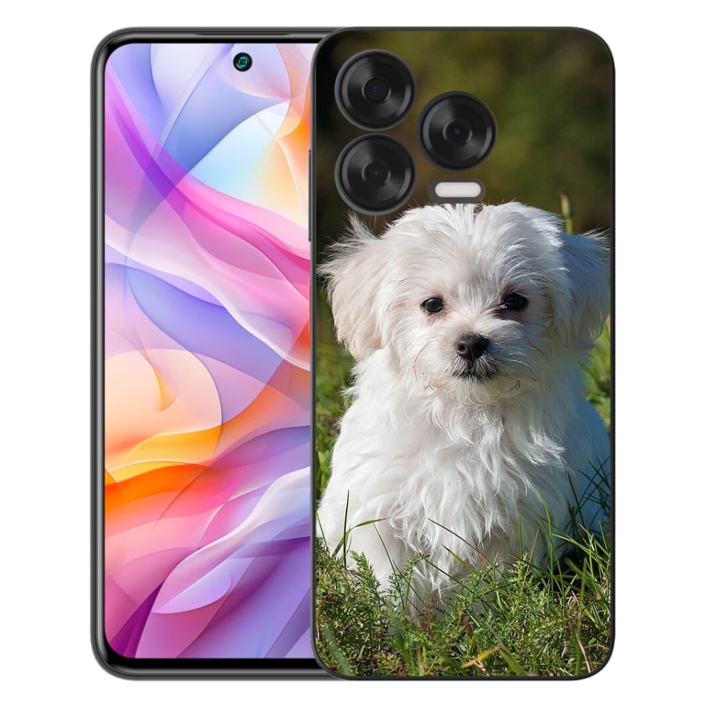 mmCase géltok a ZTE Blade V70 Vita készülékhez – bichon frisé