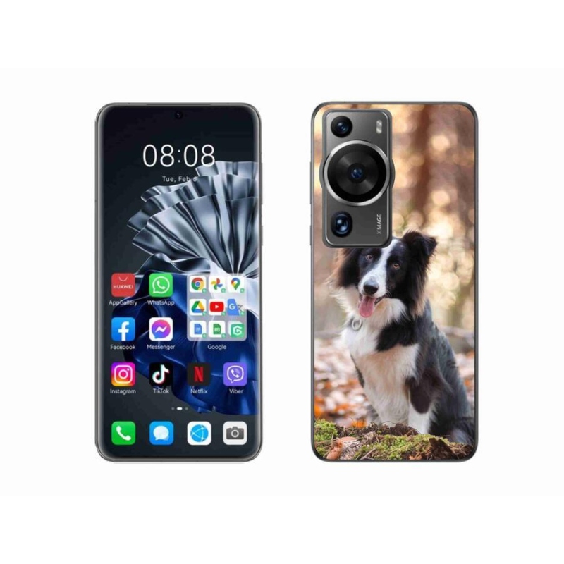 Gél tok mmCase a Huawei P60 Pro készülékhez - border collie 1