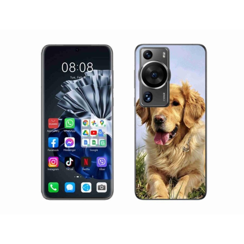 Gél tok mmCase a Huawei P60 Pro számára - arany retriever