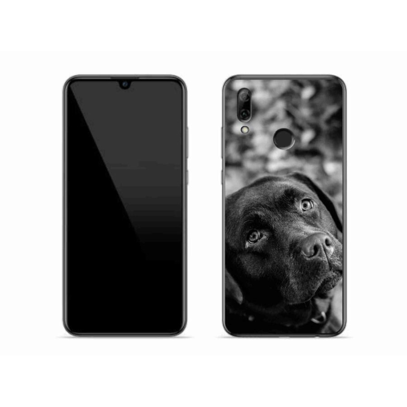 Gél tok mmCase a Honor 10 Lite-hoz - labrador