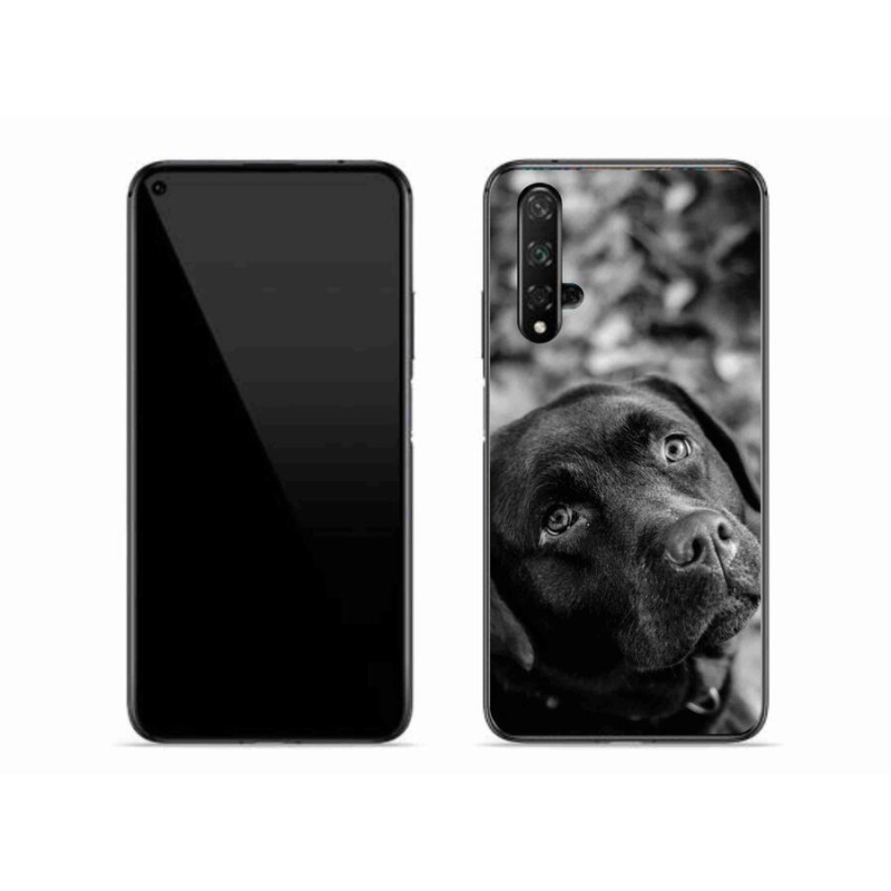 Gél tok mmCase a Honor 20 készülékhez - labrador