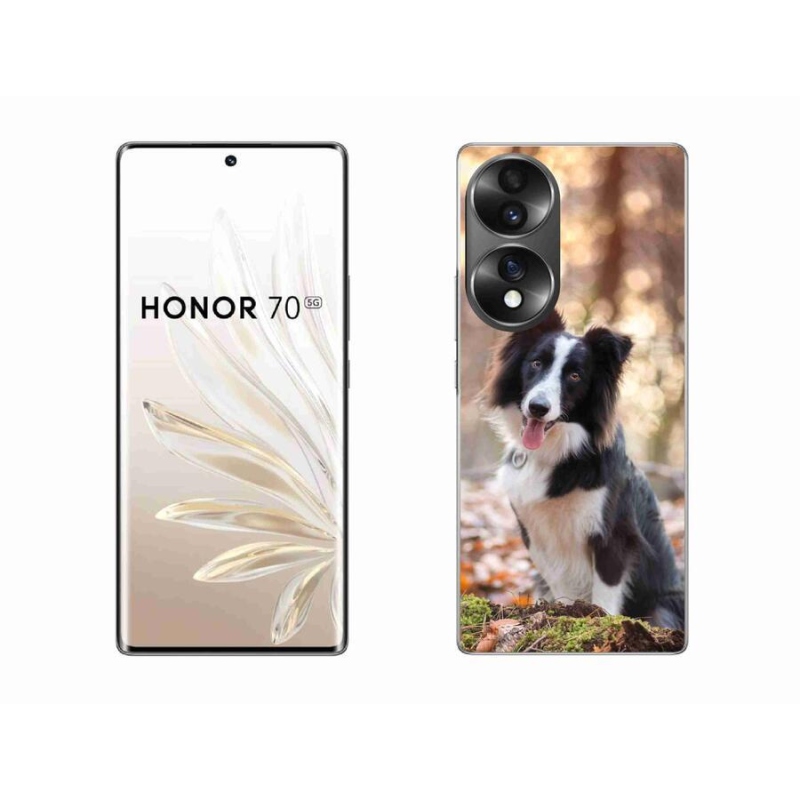 Gél tok mmCase for Honor 70 - border collie 1