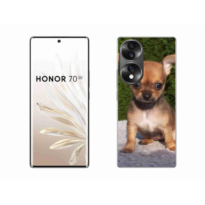 Gél tok mmCase for Honor 70 - chihuahua 3
