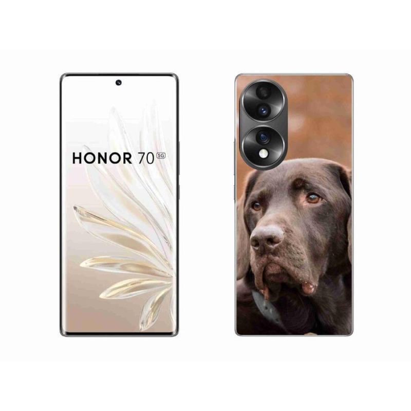Gél tok mmCase a Honor 70 készülékhez - barna labrador