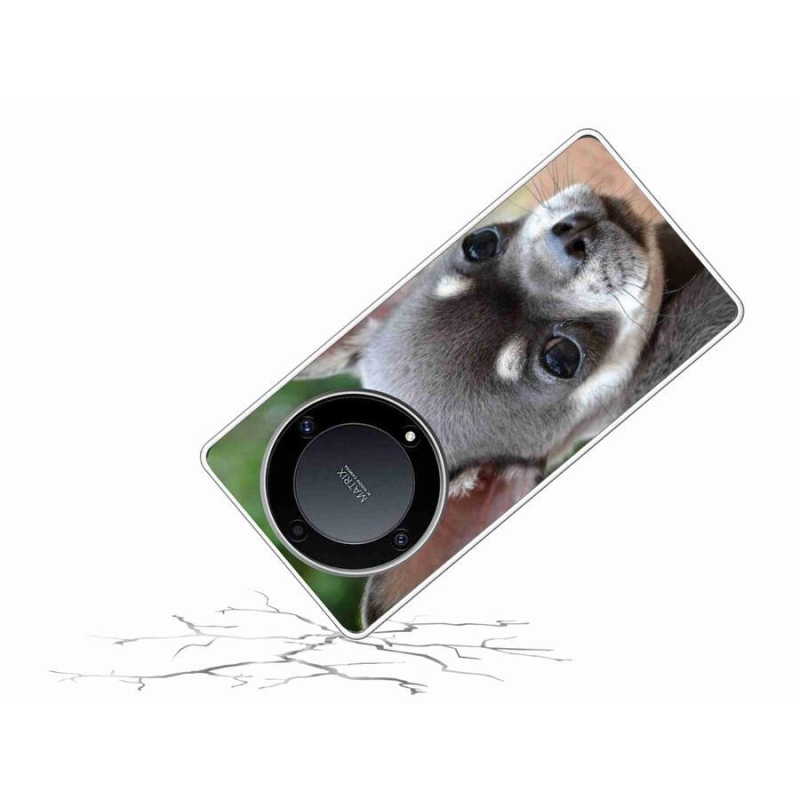 Gél tok mmCase a Honor Magic 5 Lite 5G számára - chihuahua