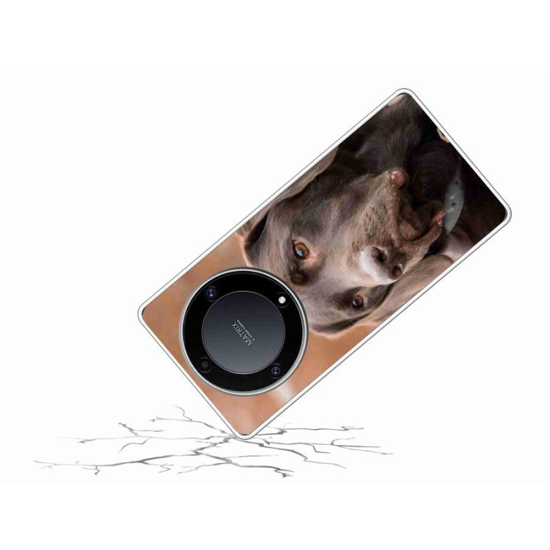 Gél tok mmCase a Honor Magic 5 Lite 5G készülékhez - barna labrador