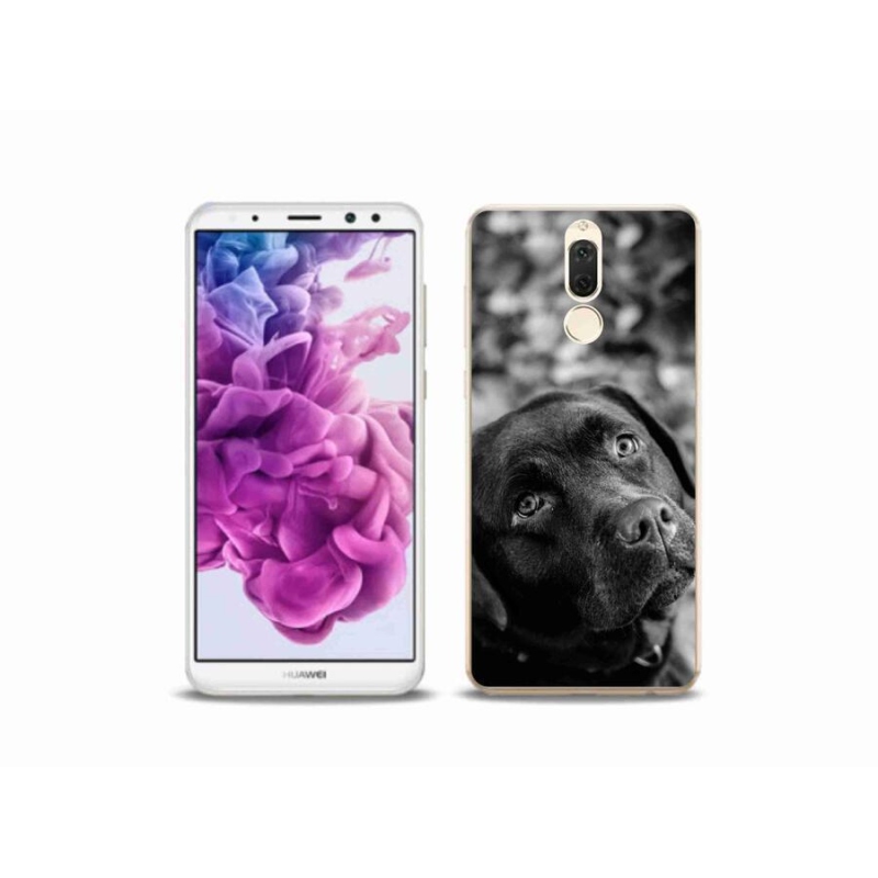 Gél tok mmCase a mobil Huawei Mate 10 Lite készülékhez - labrador