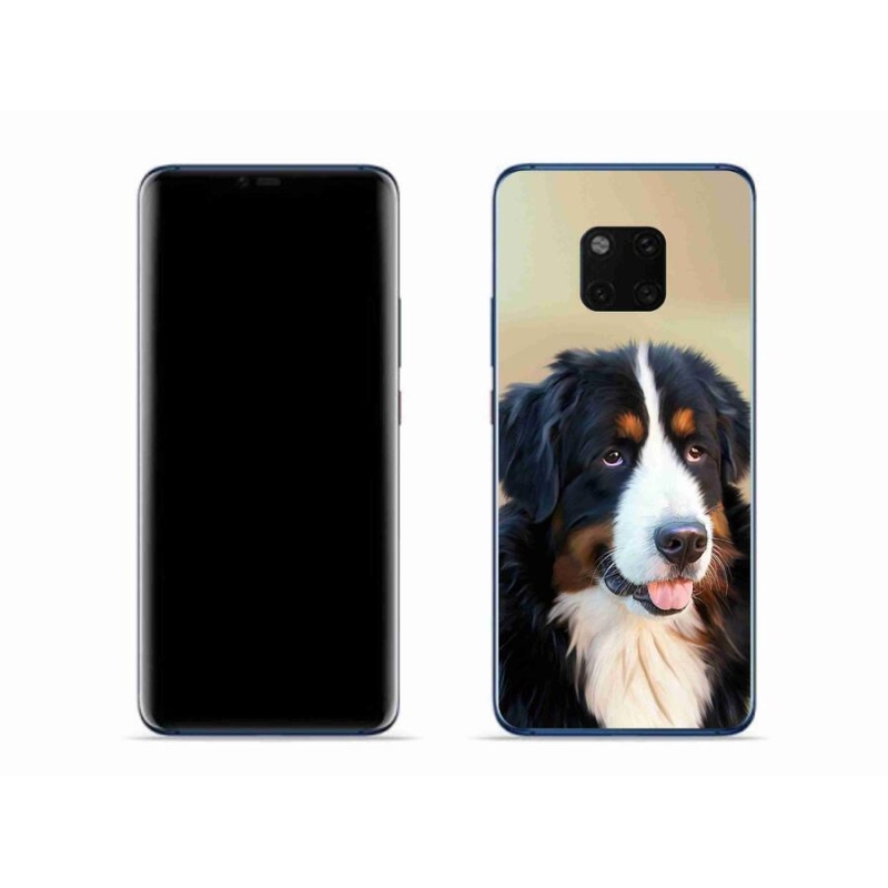 Gél tok mmCase a mobil Huawei Mate 20 Pro készülékhez - Berni hegyi kutya
