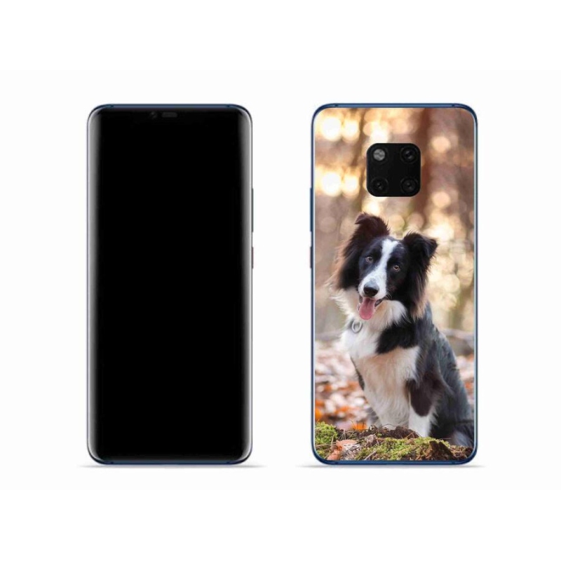 Gél tok mmCase a mobil Huawei Mate 20 Pro - border collie 1