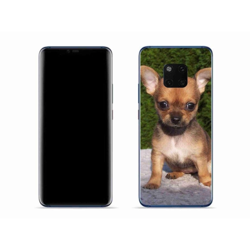 Gél tok mmCase mobil Huawei Mate 20 Pro - chihuahua 3