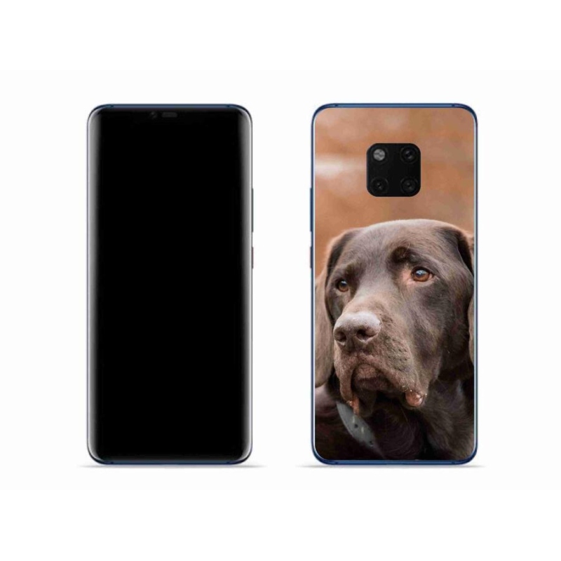 Gél tok mmCase a mobil Huawei Mate 20 Pro készülékhez - barna labrador