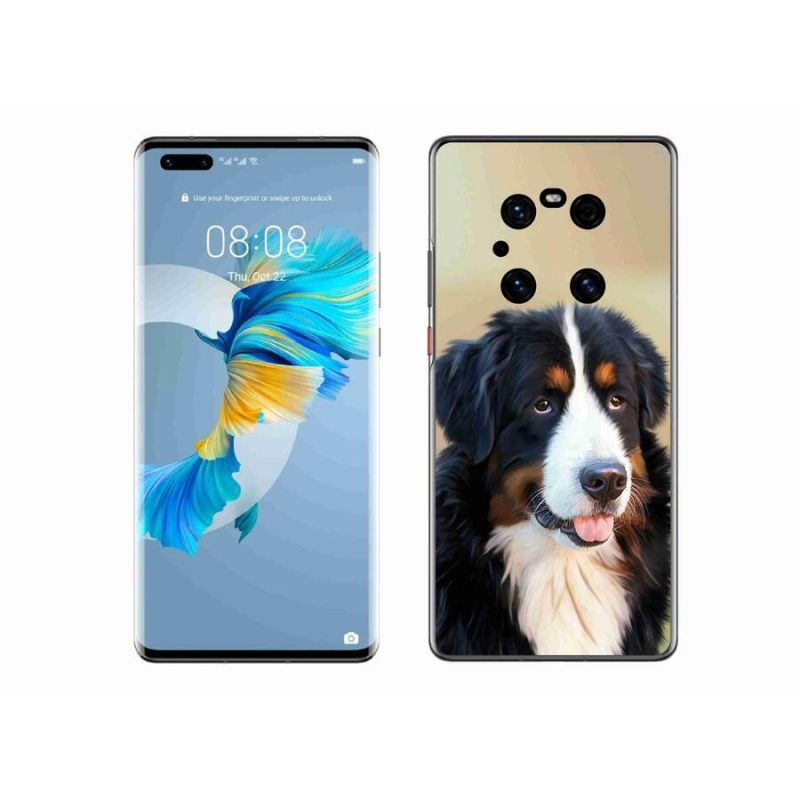 Gél tok mmCase a mobil Huawei Mate 40 Pro - Berni hegyi kutya számára