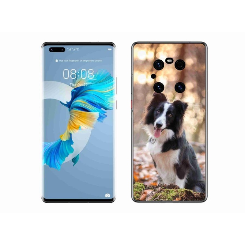 Gél tok mmCase mobil Huawei Mate 40 Pro - border collie 1