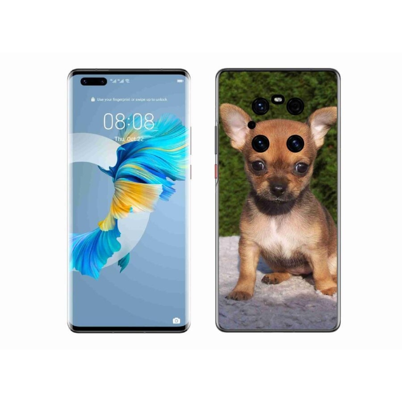 Gél tok mmCase mobil Huawei Mate 40 Pro - chihuahua 3