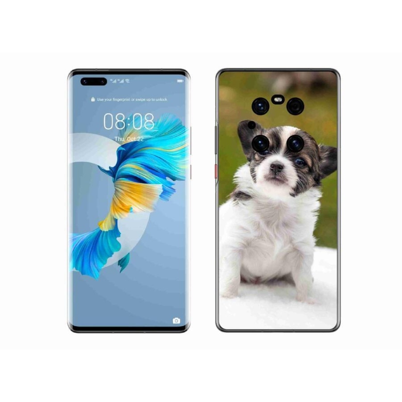 Gél tok mmCase mobil Huawei Mate 40 Pro - chihuahua 4
