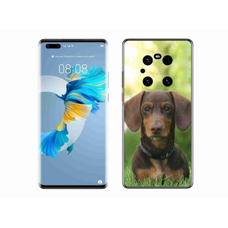 Gél tok mmCase mobiltelefonhoz Huawei Mate 40 Pro - barna tacskó