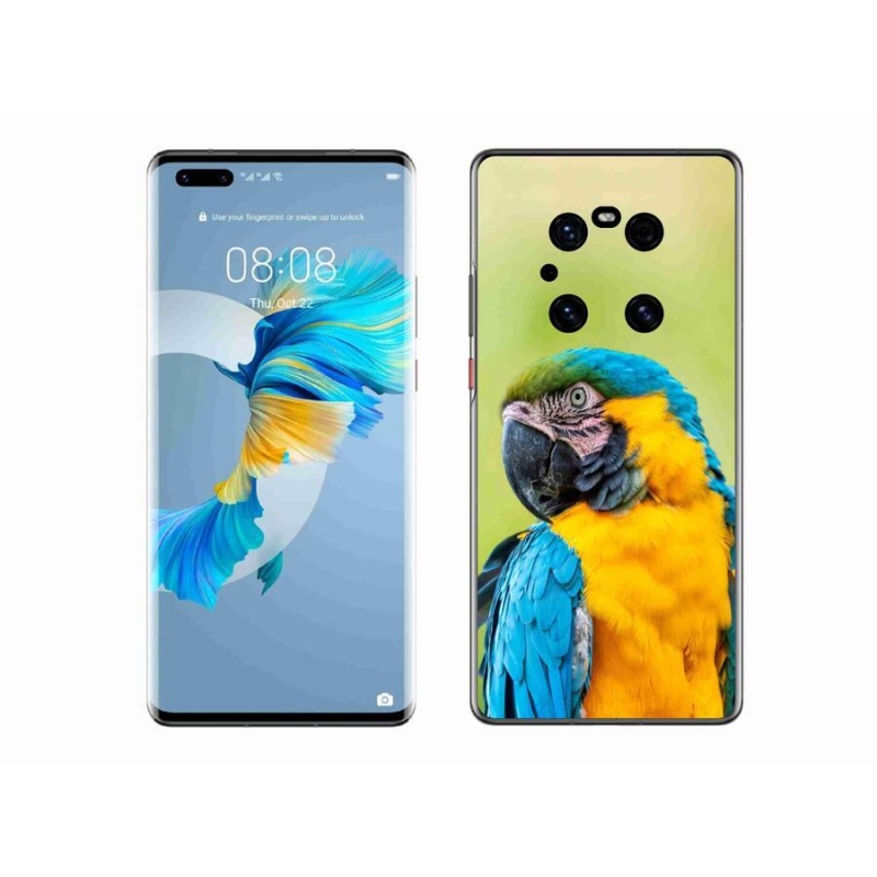 Gél tok mmCase mobil Huawei Mate 40 Pro - papagáj ara 2