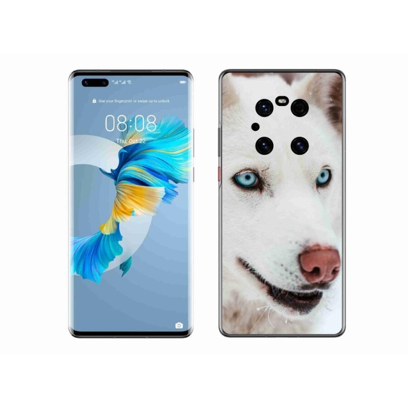 Gél tok mmCase a Huawei Mate 40 Pro számára - kutyaszemmel nézet