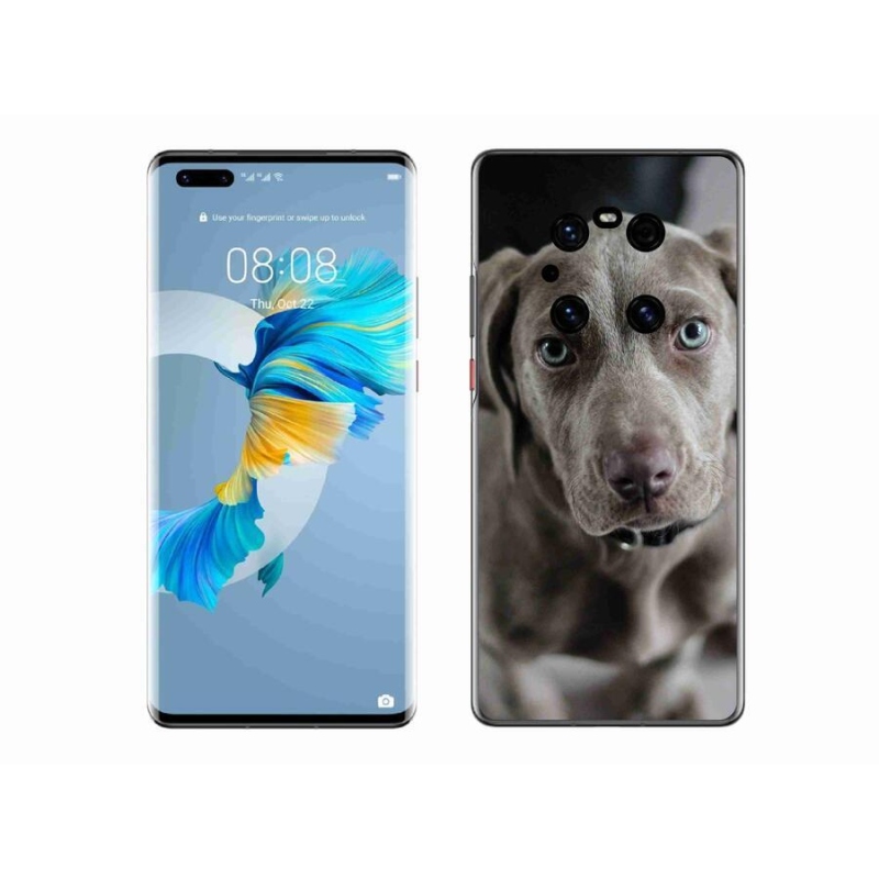 Gél tok mmCase mobil Huawei Mate 40 Pro - výmarský ohař