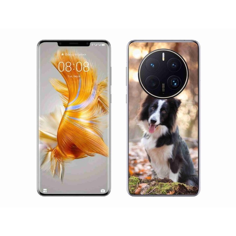 Gél tok mmCase mobil Huawei Mate 50 Pro - border collie 1