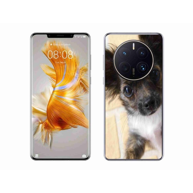 Gél tok mmCase mobil Huawei Mate 50 Pro - chihuahua 2