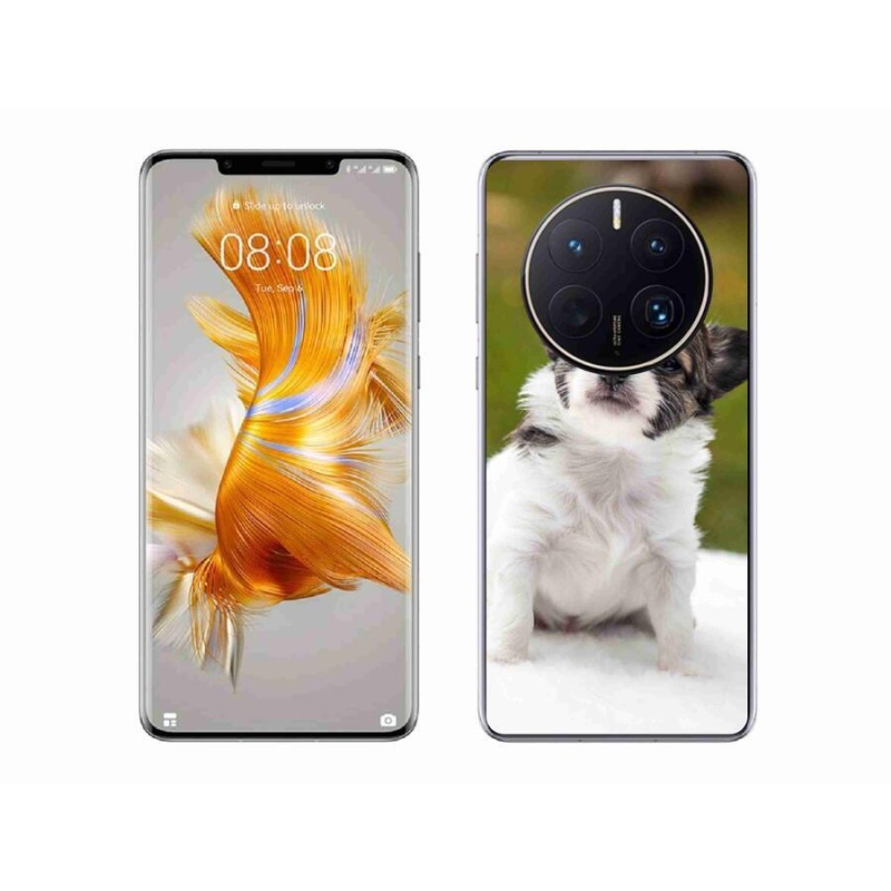 Gél tok mmCase mobil Huawei Mate 50 Pro - chihuahua 4