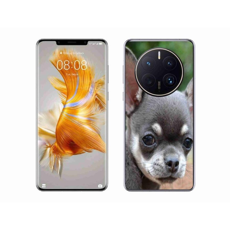 Gél tok mmCase a mobil Huawei Mate 50 Pro - chihuahua számára