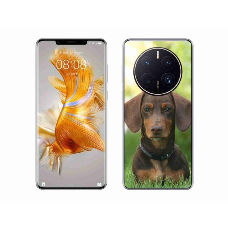 Gél tok mmCase a mobil Huawei Mate 50 Pro készülékhez - barna tacskó