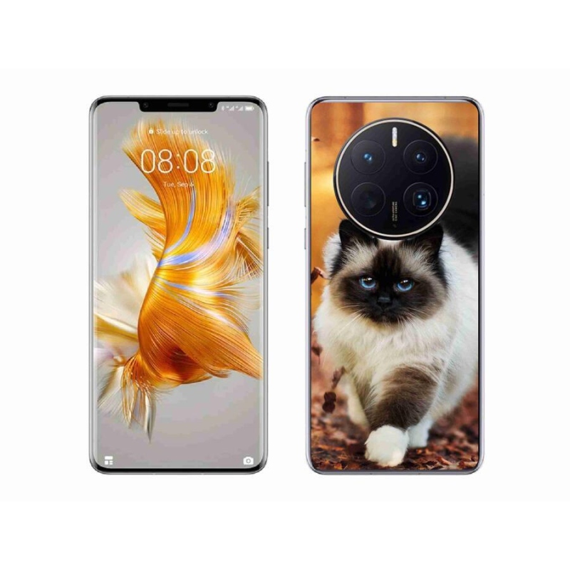 Gél tok mmCase mobil Huawei Mate 50 Pro - macska