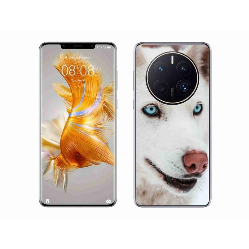 Gél tok mmCase a Huawei Mate 50 Pro számára - kutyaszemmel nézve