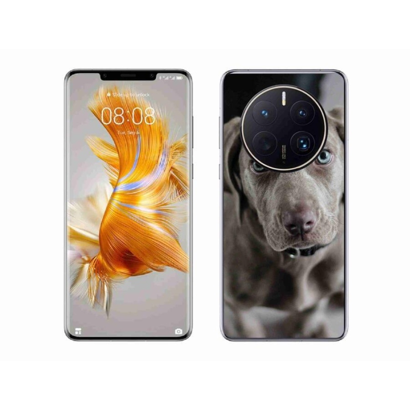 Gél tok mmCase mobil Huawei Mate 50 Pro - výmarský ohař
