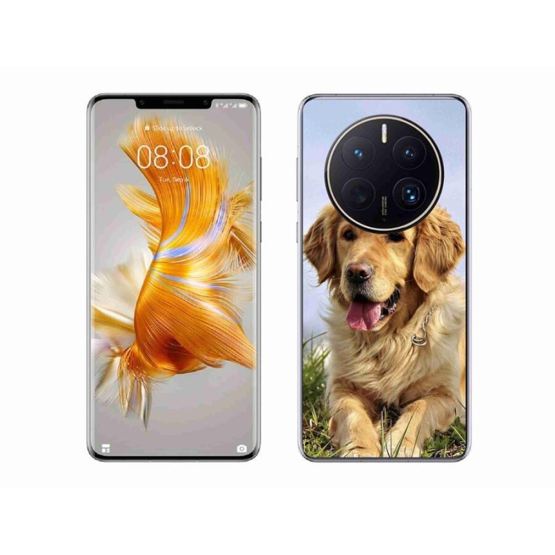 Gél tok mmCase mobil Huawei Mate 50 Pro - arany retriever