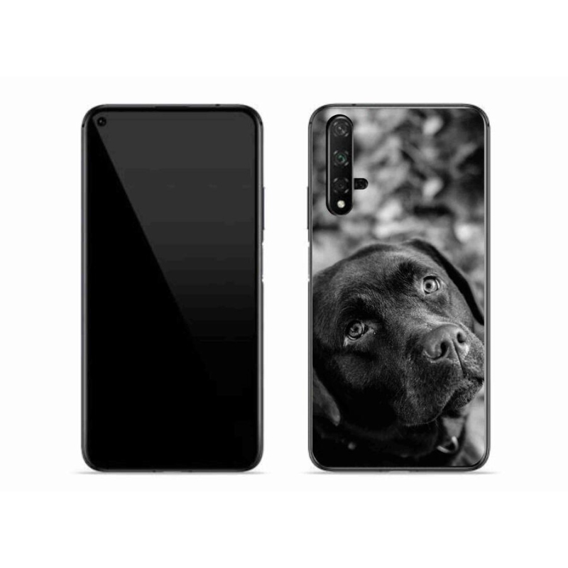 Gél tok mmCase mobil Huawei Nova 5T - labrador