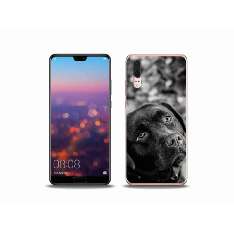 Gél tok mmCase mobil Huawei P20 - labrador