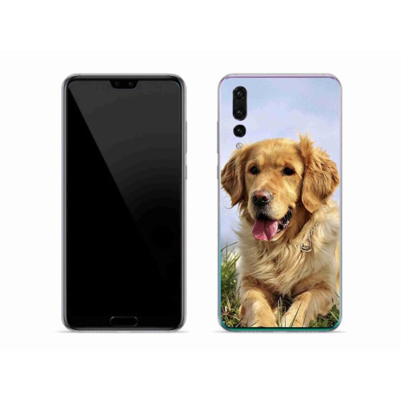Gél tok mmCase a mobil Huawei P20 Pro - arany retrieverhez