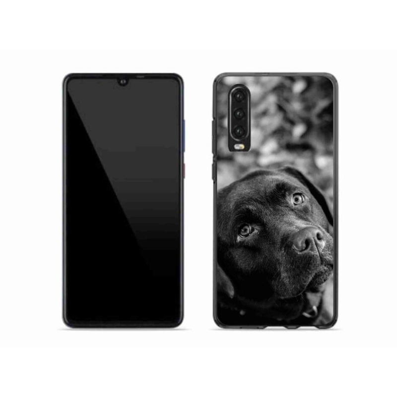 Gél tok mmCase mobil Huawei P30 - labrador