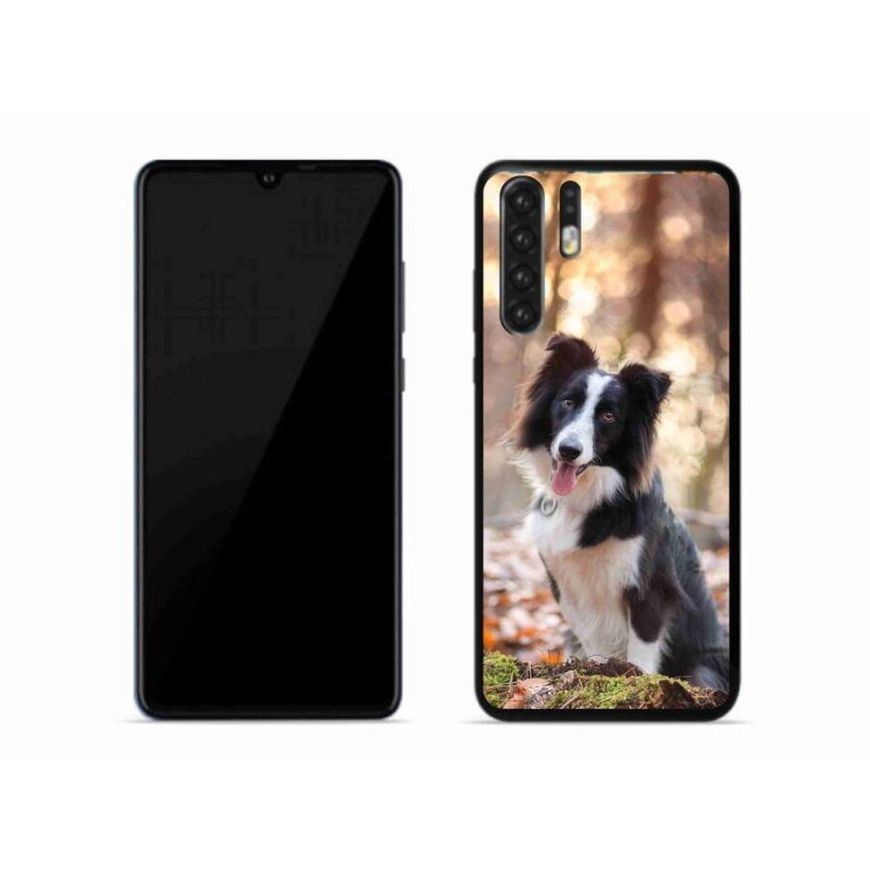 Gél tok mmCase mobil Huawei P30 Pro - border collie 1
