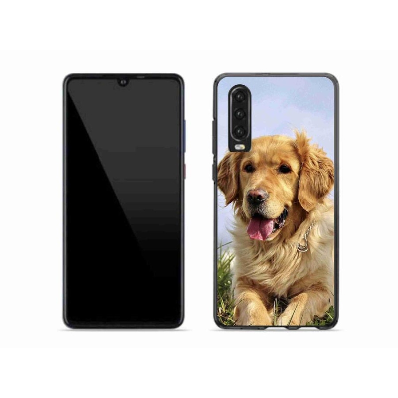 Gél tok mmCase mobil Huawei P30 - golden retriever - arany retriever