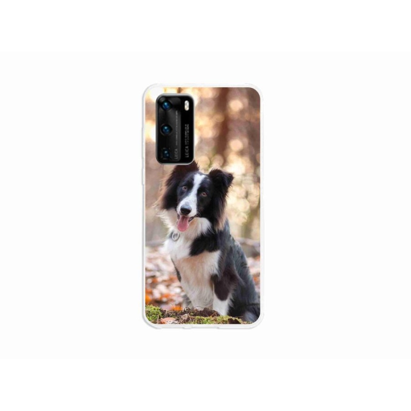 Gél tok mmCase a mobil Huawei P40 - border colie 1