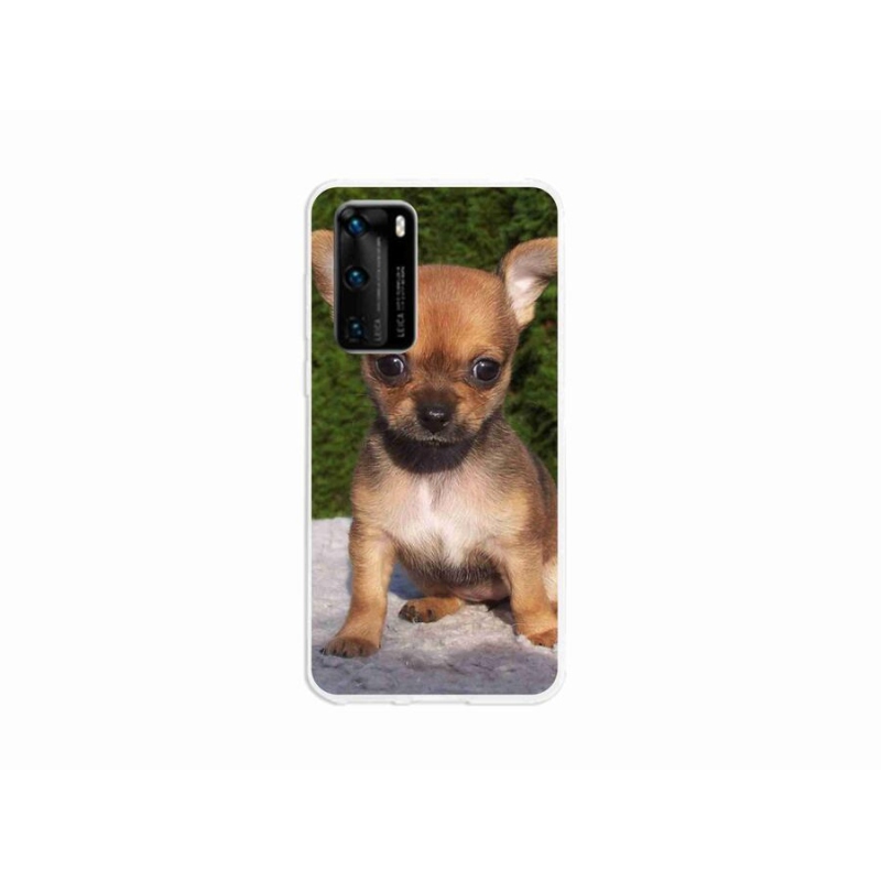 Gél tok mmCase mobil Huawei P40 - chihuahua 3